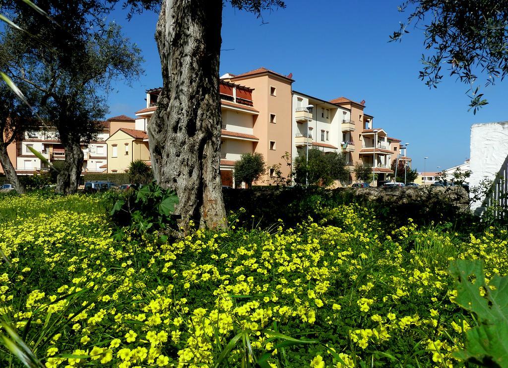 Borgo Degli Ulivi Apartment อาลเกโร ภายนอก รูปภาพ